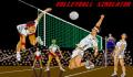 Pantallazo nº 11852 de Volleyball Simulator (320 x 200)