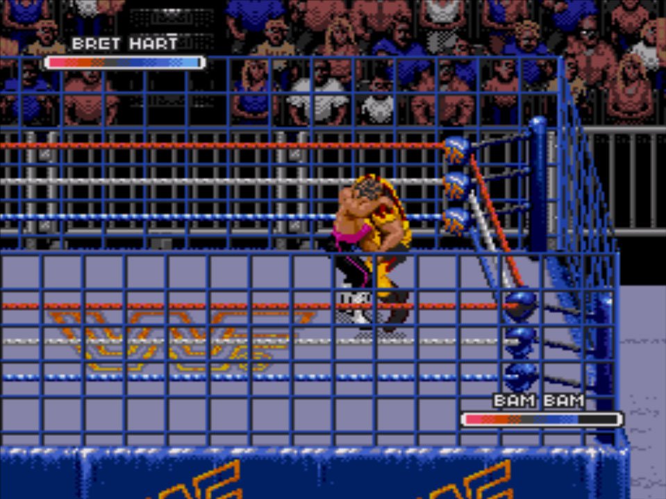 Pantallazo de WWF Rage in the Cage para Sega CD