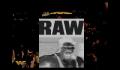 Pantallazo nº 30924 de WWF Raw (320 x 240)