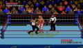 Pantallazo nº 30931 de WWF Super WrestleMania (256 x 224)