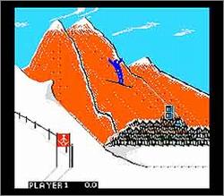 Pantallazo de Winter Games para Nintendo (NES)