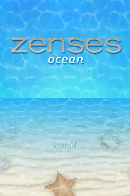 Pantallazo de Zenses Ocean para Nintendo DS