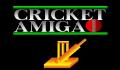 Pantallazo nº 4 de 1 Meg Cricket (317 x 220)