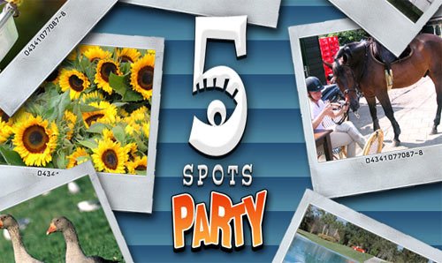 Caratula de 5 Spots Party (Wii Ware) para Wii
