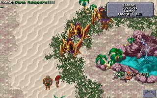Pantallazo de Advanced Dungeons & Dragons: Dark Sun Online -- Crimson Sands para PC