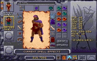 Pantallazo de Advanced Dungeons & Dragons: Dark Sun Online -- Crimson Sands para PC