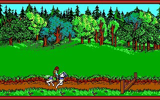 Pantallazo de Advanced Dungeons & Dragons: Hillsfar para PC