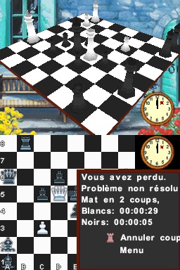 Pantallazo de Ajedrez: Sigue entrenando tu cerebro para Nintendo DS