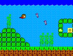 Pantallazo de Alex Kidd in Miracle World para Sega Master System