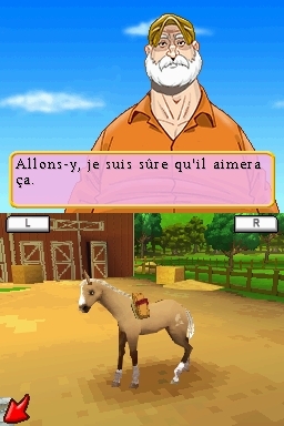 Pantallazo de Alexandra Ledermann: Le Mystere des Chevaux Sauvages para Nintendo DS