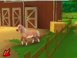 Pantallazo de Alexandra Ledermann: Le Mystere des Chevaux Sauvages para Nintendo DS