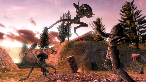 Pantallazo de Aliens Vs Predator : Requiem para PSP