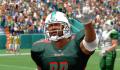 Foto 2 de All-Pro Football 2K8