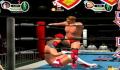 Pantallazo nº 83181 de All-Star Pro Wrestling III (Japonés) (320 x 261)