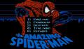 Pantallazo nº 238511 de Amazing Spider-Man, The (320 x 200)
