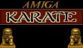 Pantallazo nº 473 de Amiga Karate (317 x 206)
