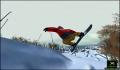 Pantallazo nº 108823 de Amped: Freestyle Snowboarding (640 x 480)