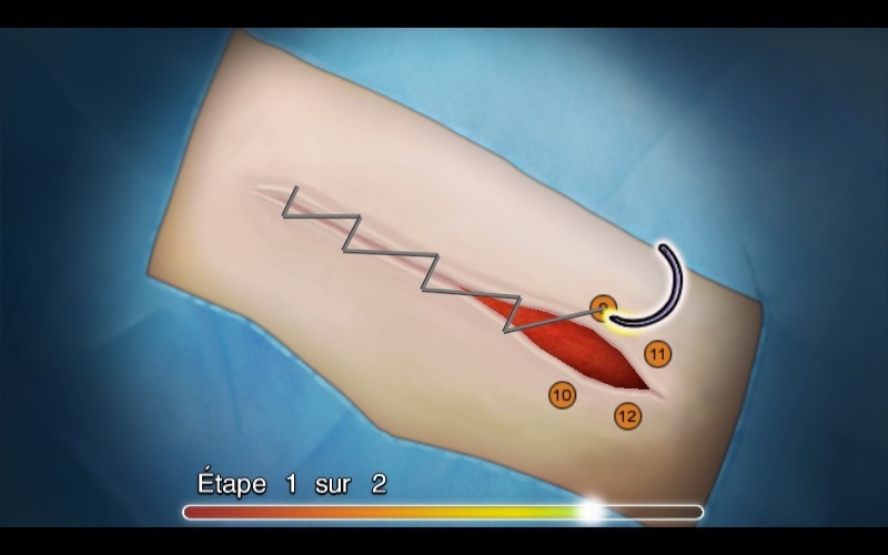 Pantallazo de Anatomia de Grey El Videojuego para PC