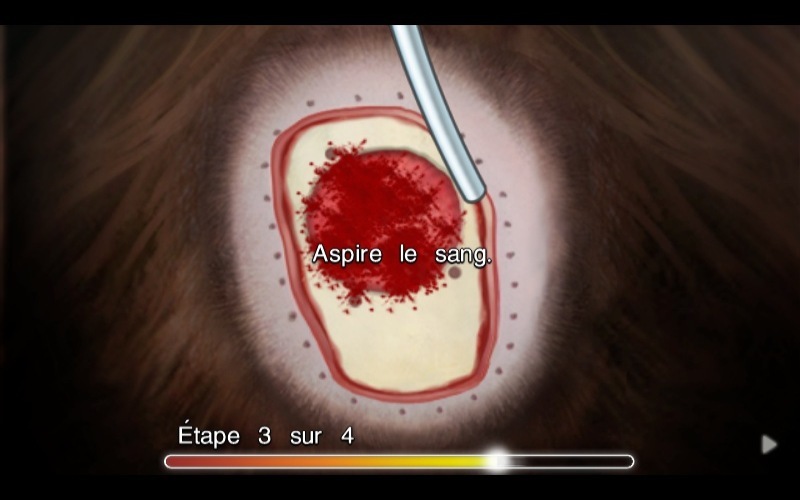 Pantallazo de Anatomia de Grey El Videojuego para PC