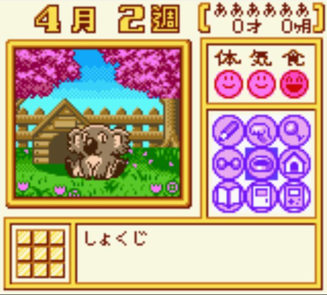 Pantallazo de Animal Breeder 3 para Game Boy Color