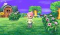 Foto 2 de Animal Crossing: New Leaf