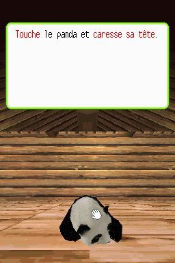 Pantallazo de Animalz: Mis Amigos los Pandaz para Nintendo DS