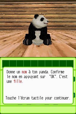 Pantallazo de Animalz: Mis Amigos los Pandaz para Nintendo DS