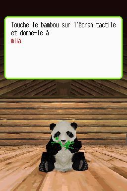 Pantallazo de Animalz: Mis Amigos los Pandaz para Nintendo DS