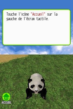Pantallazo de Animalz: Mis Amigos los Pandaz para Nintendo DS