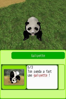 Pantallazo de Animalz: Mis Amigos los Pandaz para Nintendo DS