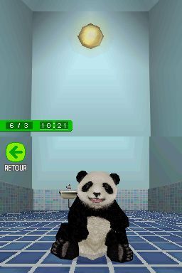 Pantallazo de Animalz: Mis Amigos los Pandaz para Nintendo DS