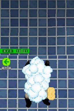 Pantallazo de Animalz: Mis Amigos los Pandaz para Nintendo DS