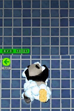 Pantallazo de Animalz: Mis Amigos los Pandaz para Nintendo DS