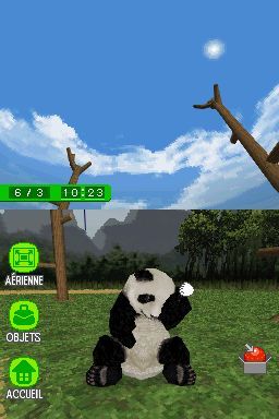 Pantallazo de Animalz: Mis Amigos los Pandaz para Nintendo DS