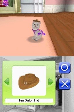 Pantallazo de Animalz: Una Familia de Catz para Nintendo DS