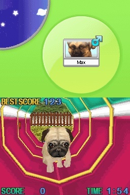 Pantallazo de Animalz: Una Familia de Dogz para Nintendo DS