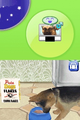 Pantallazo de Animalz: Una Familia de Dogz para Nintendo DS