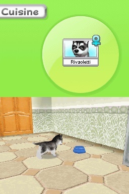 Pantallazo de Animalz: Una Familia de Dogz para Nintendo DS
