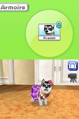 Pantallazo de Animalz: Una Familia de Dogz para Nintendo DS