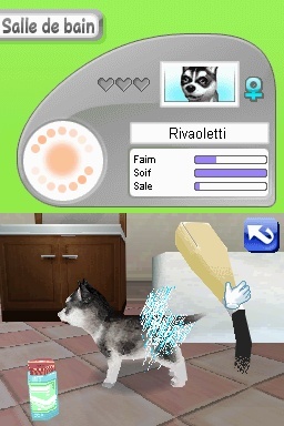 Pantallazo de Animalz: Una Familia de Dogz para Nintendo DS