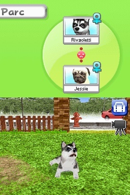 Pantallazo de Animalz: Una Familia de Dogz para Nintendo DS