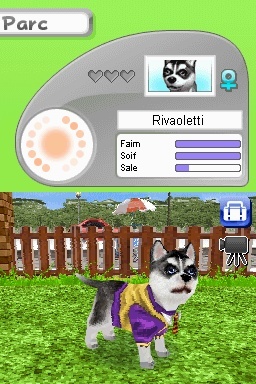 Pantallazo de Animalz: Una Familia de Dogz para Nintendo DS