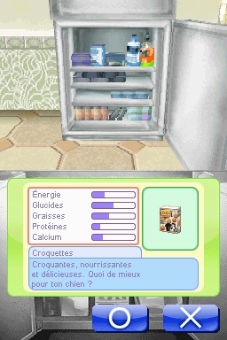 Pantallazo de Animalz: Una Familia de Dogz para Nintendo DS