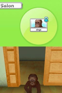 Pantallazo de Animalz: Una Familia de Monkeyz para Nintendo DS