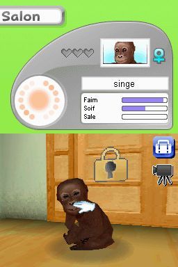 Pantallazo de Animalz: Una Familia de Monkeyz para Nintendo DS