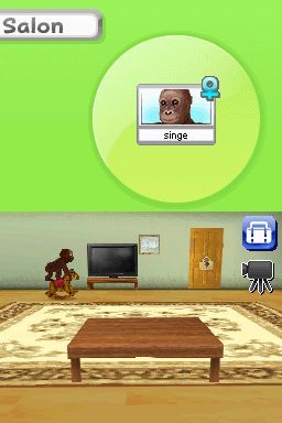 Pantallazo de Animalz: Una Familia de Monkeyz para Nintendo DS