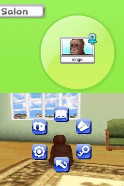 Pantallazo de Animalz: Una Familia de Monkeyz para Nintendo DS