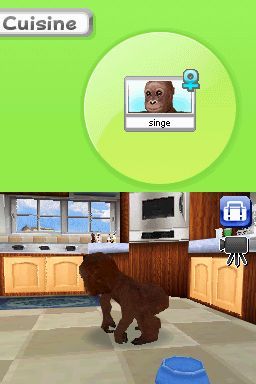 Pantallazo de Animalz: Una Familia de Monkeyz para Nintendo DS