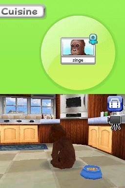 Pantallazo de Animalz: Una Familia de Monkeyz para Nintendo DS
