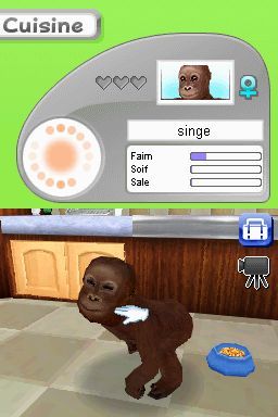 Pantallazo de Animalz: Una Familia de Monkeyz para Nintendo DS